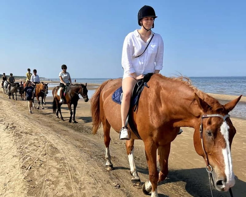 Riga Horse Riding tour along the Beach - Interaction with Animals: Feeding and Photo Opportunities