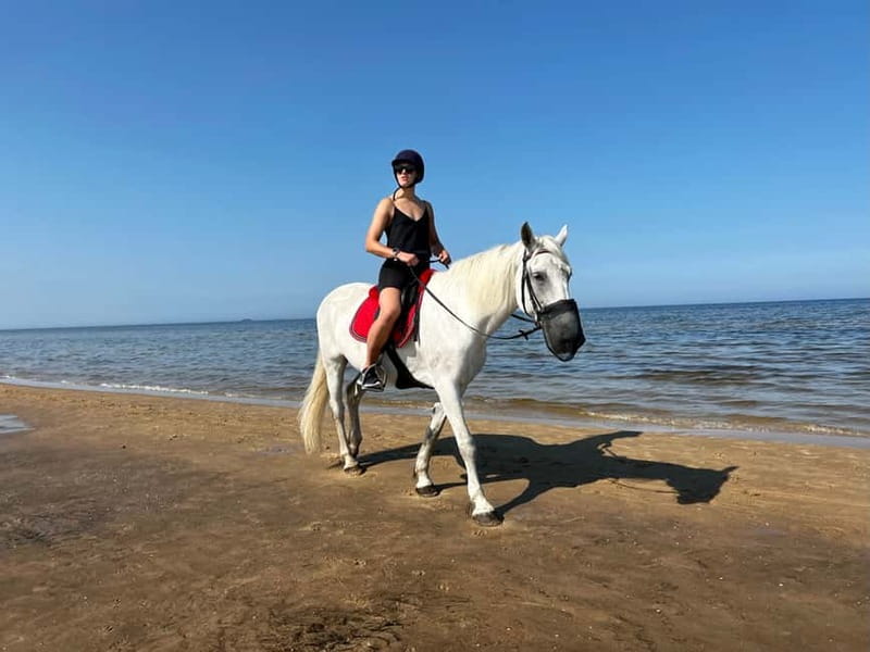 Riga Horse Riding tour along the Beach - Expertise and Friendly Guides