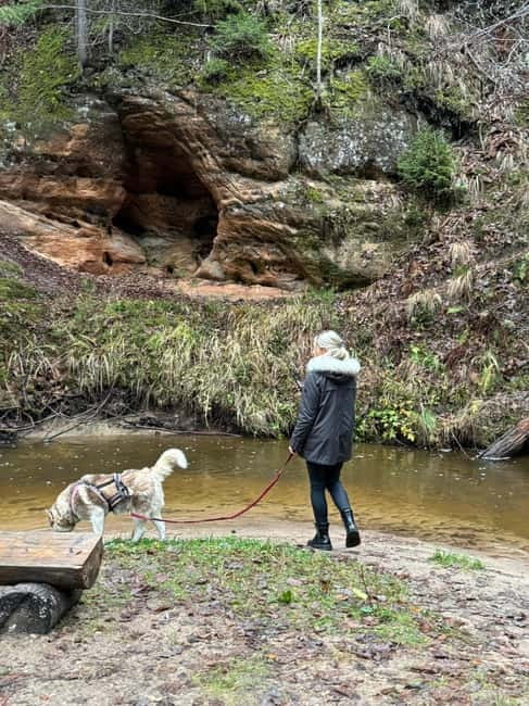 Riga: Husky Hike in the Nature Trail - Key Points