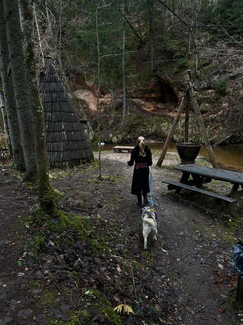 Riga: Husky Hike in the Nature Trail - Frequently Asked Questions