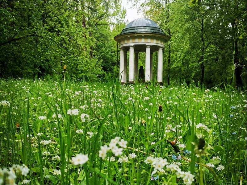 Riga: Nearby Manors and Castles Tour - Winding Through Latvian Rural Landscapes