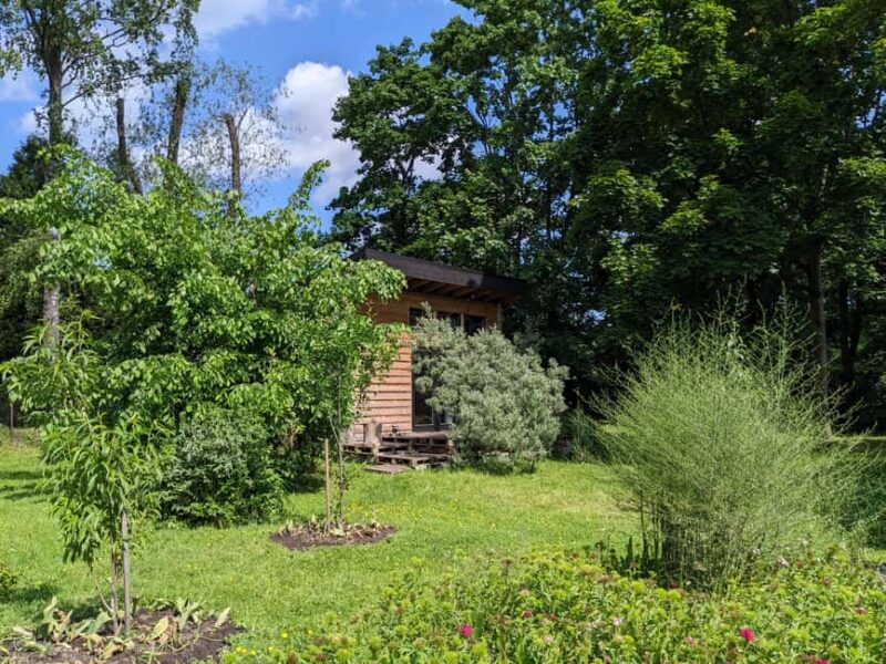 Riga: Photoshoot on Old Large Format Camera - The Value of a Personalized, Artistic Portrait Session