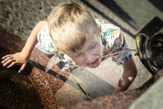 Riga Private Photoshoot Tour - The Powder Tower and Medieval Heritage
