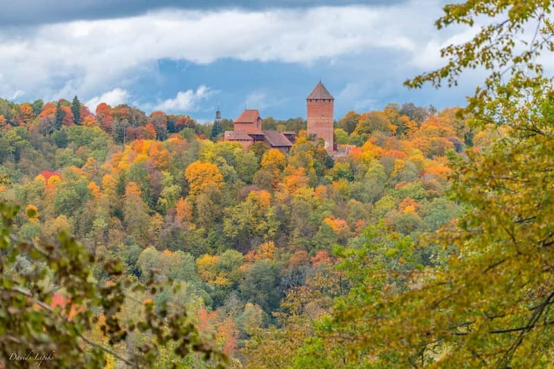 Riga: Private Sigulda, Turaida, and Gauja National Park Tour - Practical Details and Booking Tips