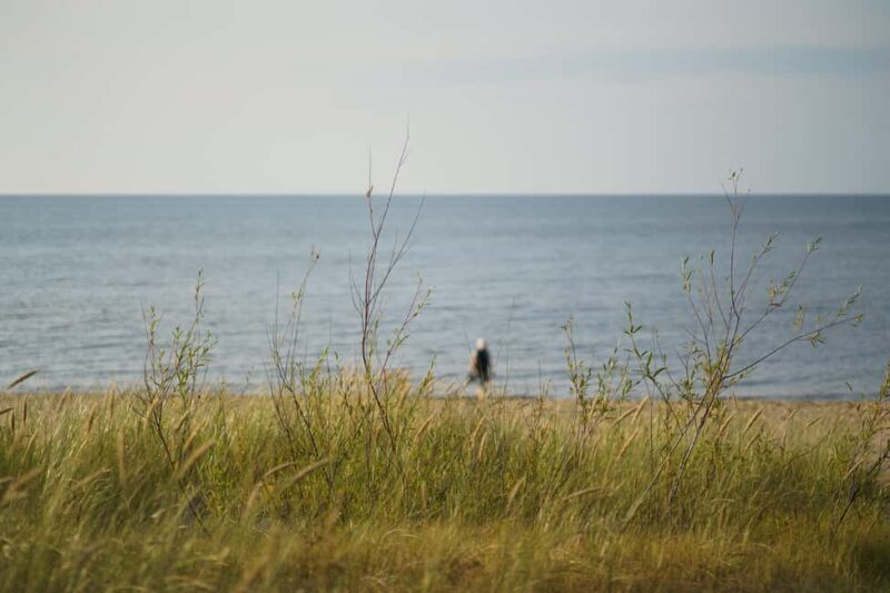 Riga: Seaside Nature Park Walk with a Local Photographer - Riga’s Seaside Nature Park: Starting in the City Center