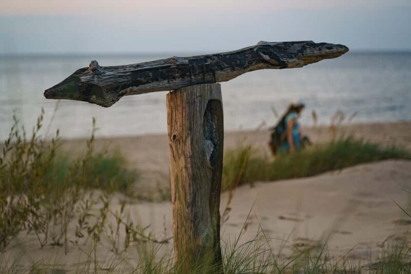 Riga: Seaside Nature Park Walk with a Local Photographer - Who Would Enjoy This Tour the Most?