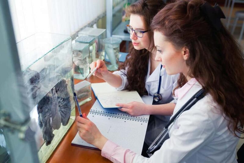 Riga: The Best of Medicine Walking Tour - Key Points