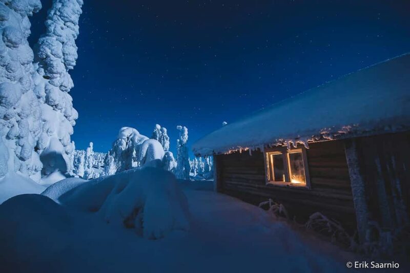 Riisitunturi National Park: Day Trip with Finnish Lapphund - Why This Tour Stands Out: The Wintry Landscape and Finnish Lapphund