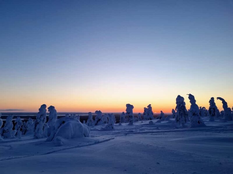 Riisitunturi National Park Guided Hike - Key Points