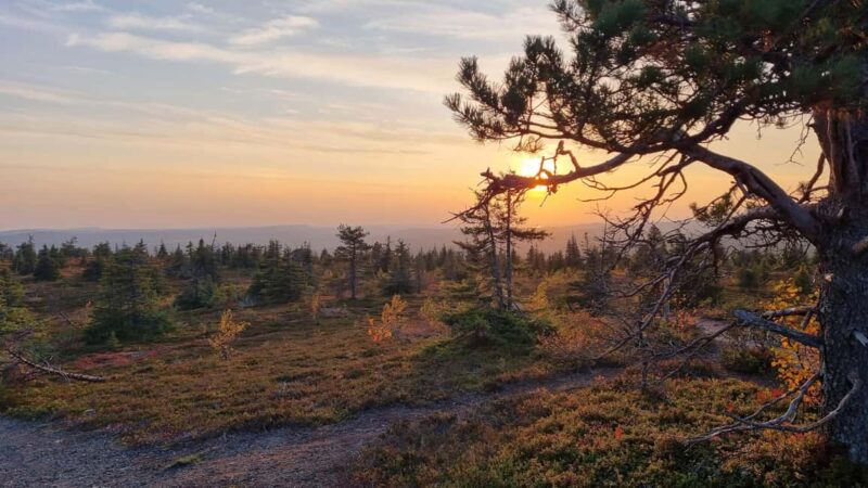 Riisitunturi National Park Guided Hike - The Guided Hike Begins at Riisitunturi Parking Lot