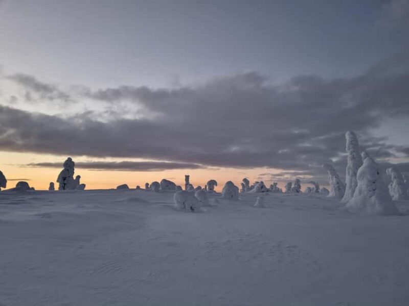 Riisitunturi National Park Guided Hike - Stories and Lore: Finnish Forest Mythology and Folk Tales