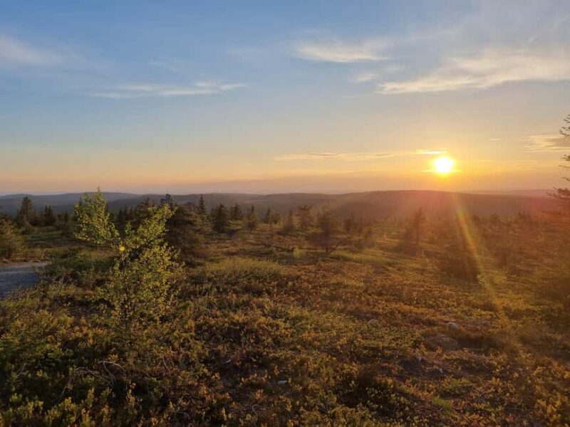 Riisitunturi National Park Guided Hike - Wildlife, Nature, and the Arctic Wilderness