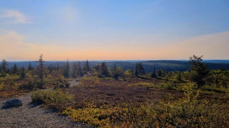 Riisitunturi National Park Guided Hike - Flexibility with Bookings and Cancellations