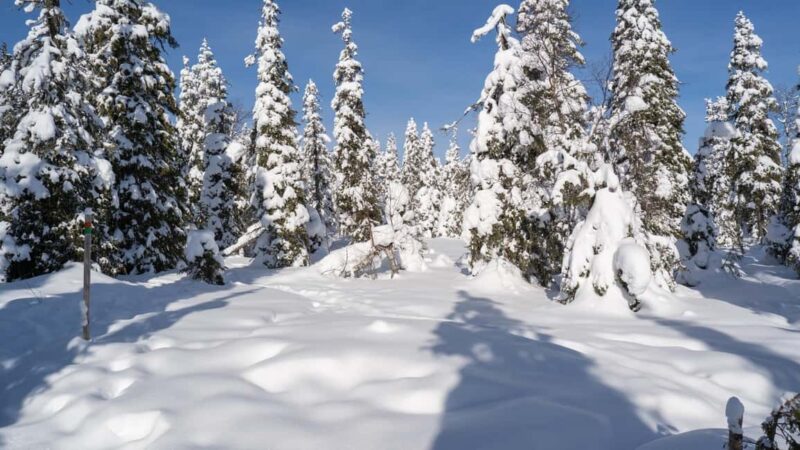 Riisitunturi National Park Hike - Key Points