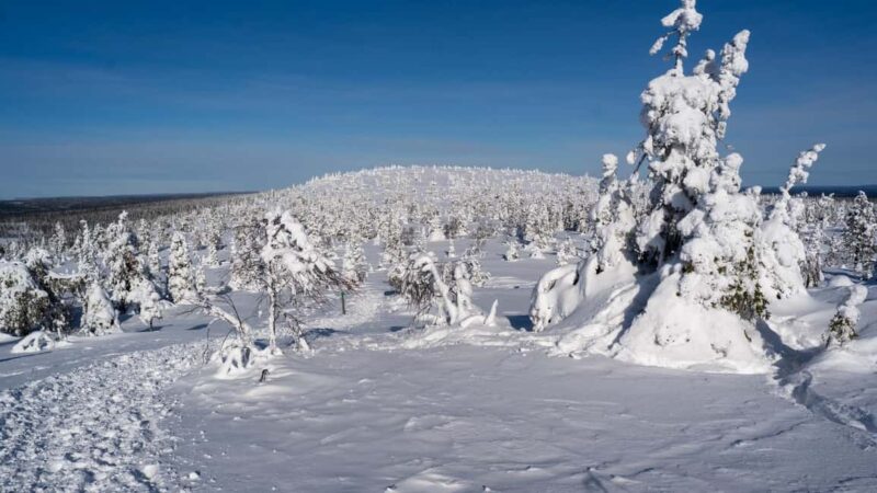 Riisitunturi National Park Hike - The Summits and Panoramic Views of Lake Kitkajärvi