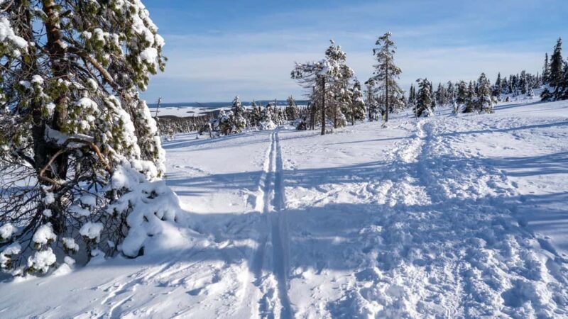 Riisitunturi National Park Hike - Learning About Local Wildlife, Nature, and History