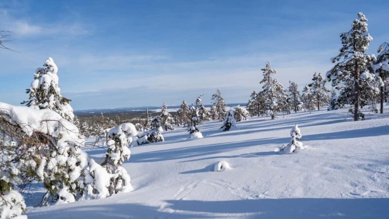 Riisitunturi National Park Hike - Optimal Conditions and Weather Considerations