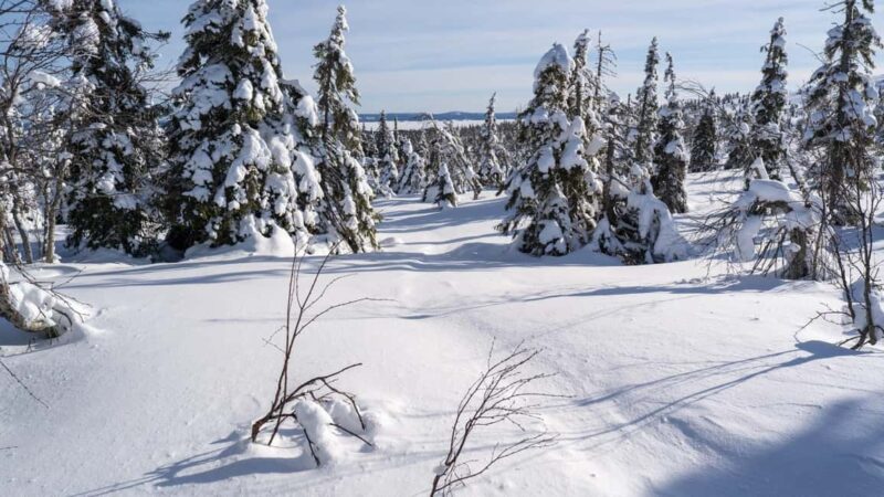 Riisitunturi National Park Hike - What to Bring and How to Prepare