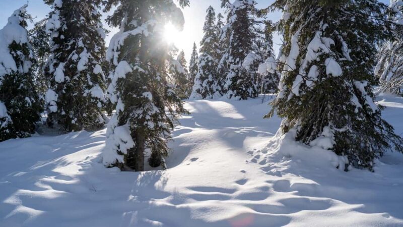 Riisitunturi National Park Hike - Comparing Riisitunturi Hike to Similar Experiences