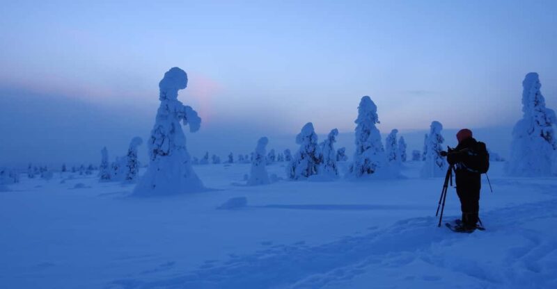 Riisitunturi National Park Private Snowshoe Adventure - Discover the Quiet Beauty of Riisitunturi National Park on a Private Snowshoe Tour