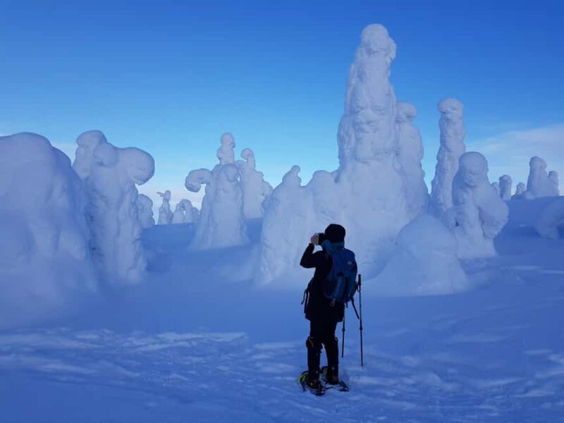 Riisitunturi National Park Private Snowshoe Adventure - Starting Point and Pickup Options in Ruka and Kuusamo