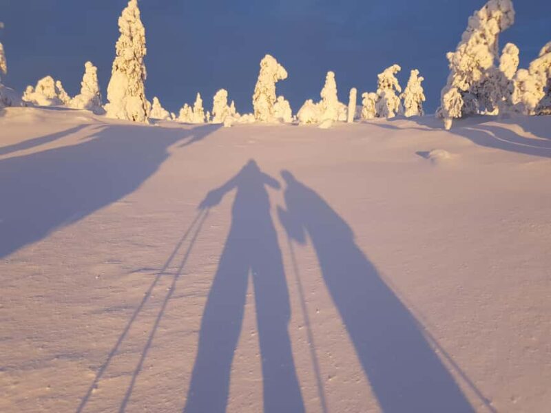 Riisitunturi National Park Private Snowshoe Adventure - Best Times and Unique Night Experiences