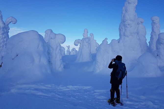 Riisitunturi National Park Snowshoe Experience - Experience the Serene Winter Beauty of Riisitunturi with Snowshoeing