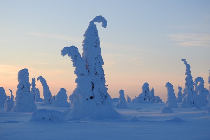 Riisitunturi National Park Snowshoe Experience - A Traditional Finnish Trail Meal by the Campfire