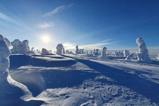 Riisitunturi National Park Snowshoe Experience - Convenient Pickup and Drop-off in Ruka and Kuusamo