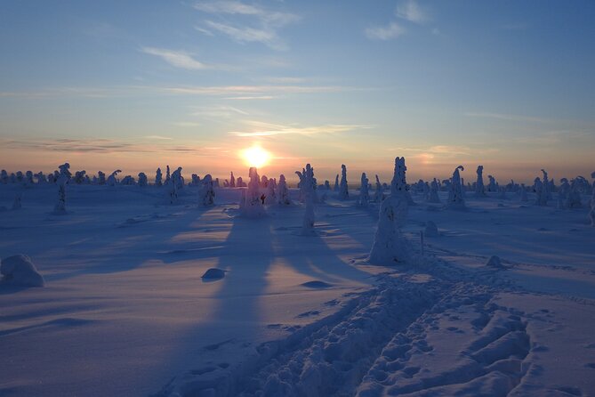 Riisitunturi National Park Snowshoe Experience - Physical Requirements and Suitability