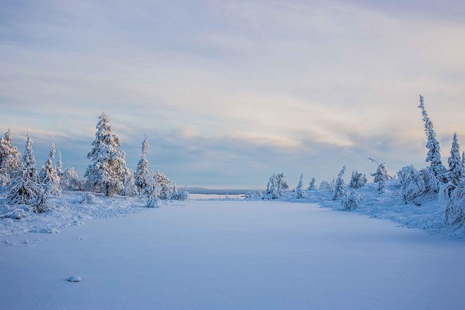 Riisitunturi wilderness adventure - Flexibility and Booking in Advance