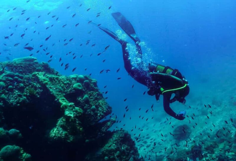 Rijeka Croatia: Come explore the amazing Croatian sea with us! - Key Points