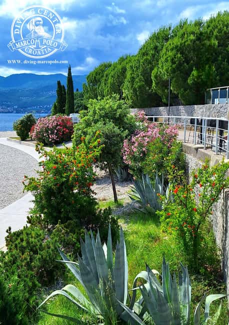 Rijeka Croatia: Come explore the amazing Croatian sea with us! - What the 30-Minute Snorkeling Tour Includes