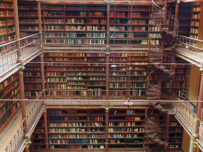 Rijksmuseum Guided Tour with Entry Ticket (12 guests max) - The Expertise of Your Art Historian Guide