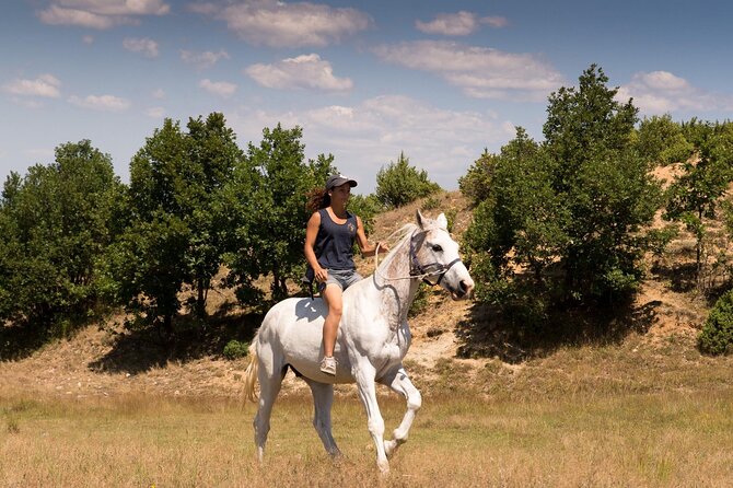 Rila National Park Horse Riding Adventure - Horse Riding Options for All Levels