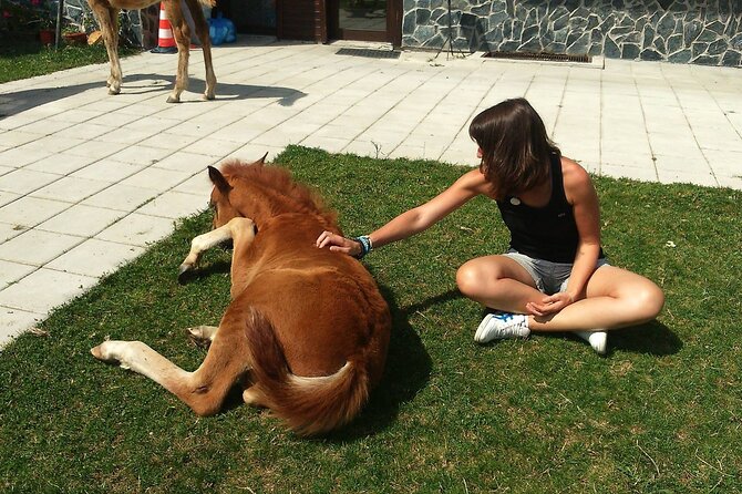 Rila National Park Horse Riding Adventure - The Role of the Guides and Photo Opportunities