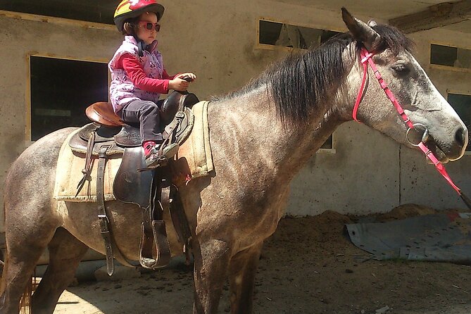 Rila National Park Horse Riding Adventure - Optional Lunch and Refreshments at the End