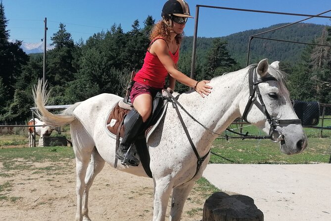 Rila National Park Horse Riding Adventure - Private Transportation and Group Sizes