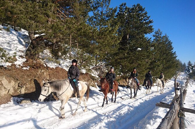 Rila National Park Horse Riding Adventure - The Experience in Practice: What Past Participants Say