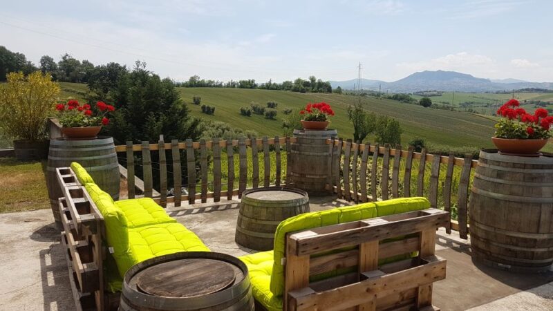 Rimini: San Valentino DOC Wine Tastings - The Verdict: An Authentic Taste of Emilia-Romagna