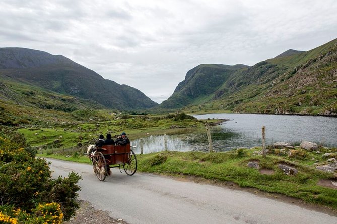 Ring of Kerry & Killarney tour departing from Cork City. Guided. Full Day. - Discover the Scenic Beauty of the Ring of Kerry and Killarney from Cork