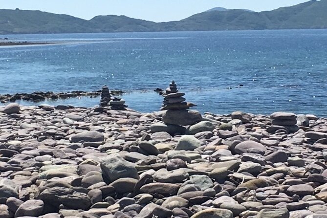 Ring of Kerry private Tour from Killarney, Car or minibus - Torc Waterfall: A Picturesque Cascade