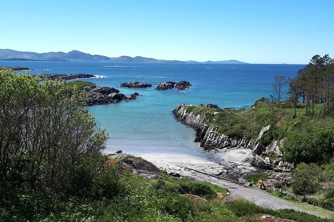 Ring of Kerry & Skellig Ring - Private Tour - Waterfalls and Natural Beauty in Killarney National Park