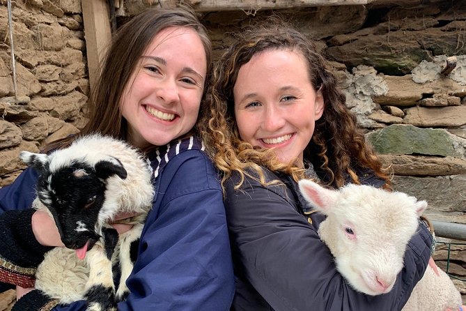 Ring of Kerry Tour Private Chauffeur Driven From Killarney Luxury - Sneem: A Charming Village for Refreshments