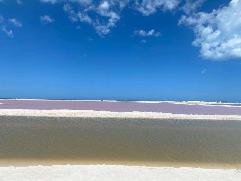 Rio Lagartos and Las Coloradas: EcoSafari Flamingo classic - Key Points