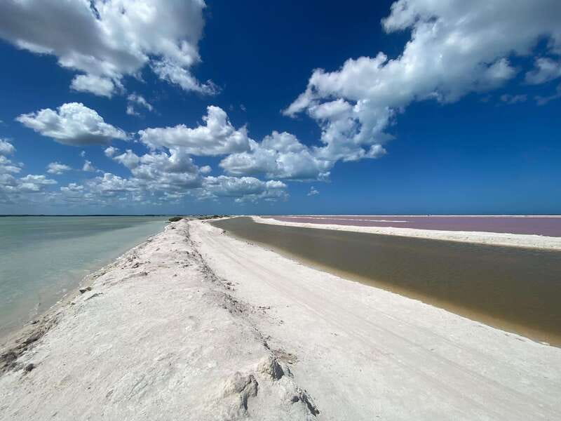Rio Lagartos and Las Coloradas: EcoSafari Flamingo Luxury - Exploring the Salt Lagoons of Las Coloradas