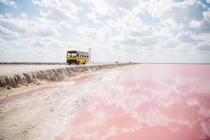 Rio Lagartos and Las Coloradas: EcoSafari Flamingo Luxury - Swimming at a Virgin Gulf of Mexico Beach