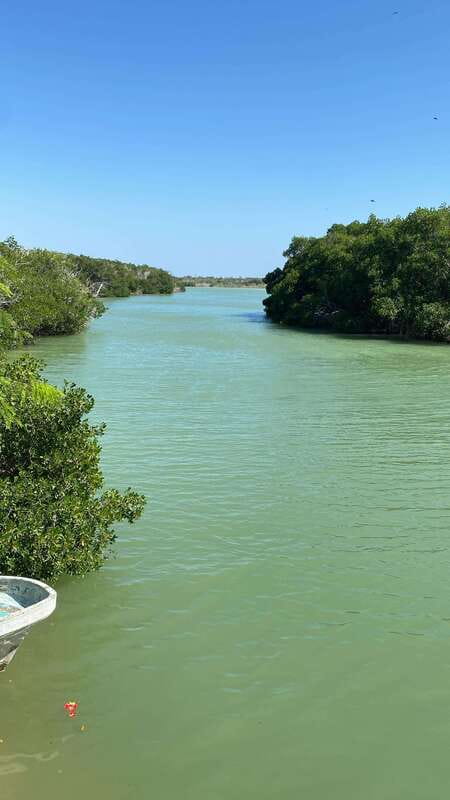Río Lagartos and Las Coloradas: Natural Experience - Exploring Río Lagartoss Rich Wildlife and Ecosystems