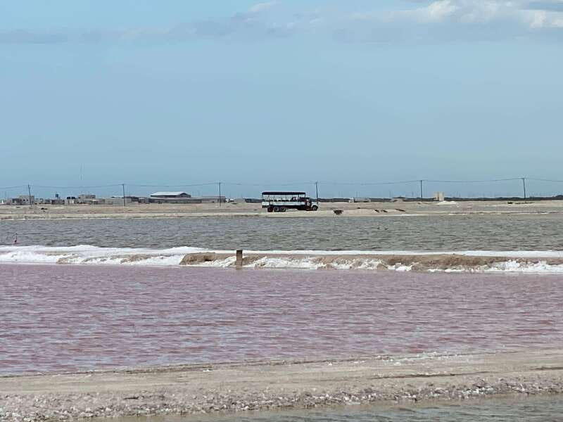 Río Lagartos and Las Coloradas: Natural Experience - Unique Mayan Clay Exfoliation and Fish Spa