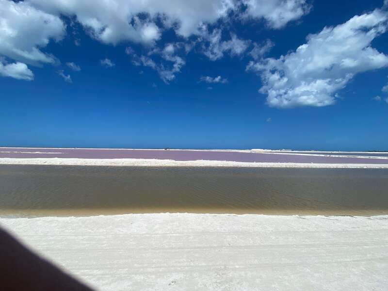Río Lagartos and Las Coloradas: Natural Experience - Extensive Wildlife and Site Access